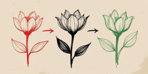 Alt text: Three hand-drawn flowers in a row, showing a progression. The first flower on the left is red, the middle flower is black, and the flower on the right is green. Each flower is connected by an arrow, indicating a transformation or evolution from red to black to green.